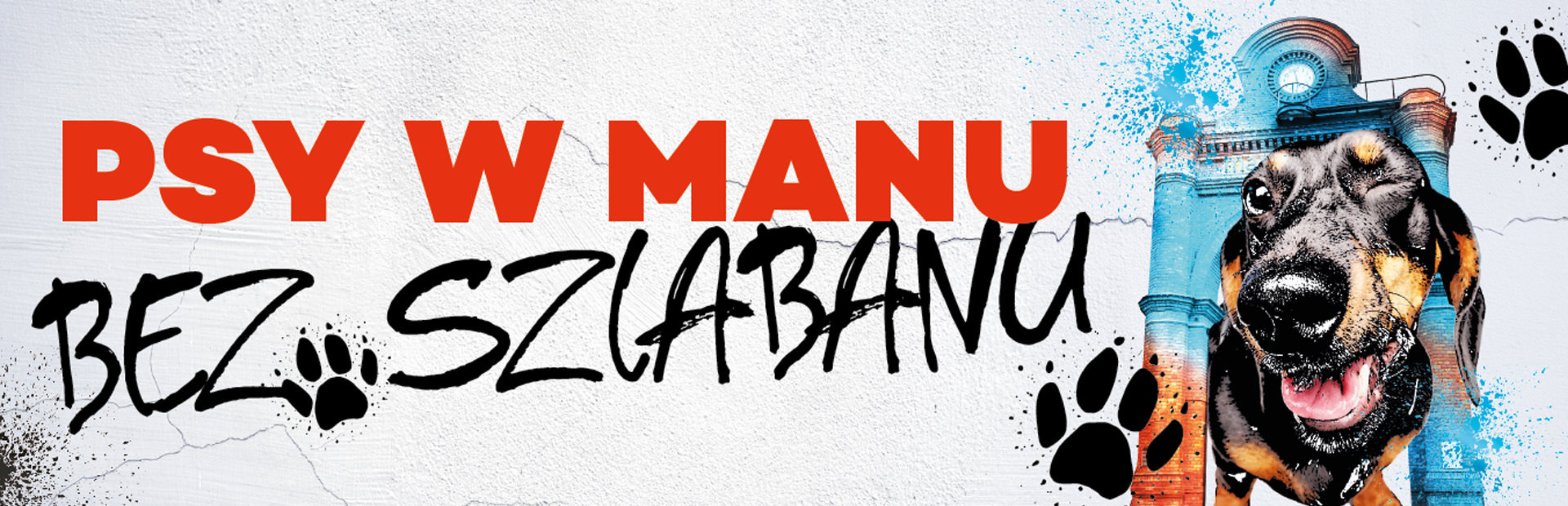Psy mile widziane w Manufakturze