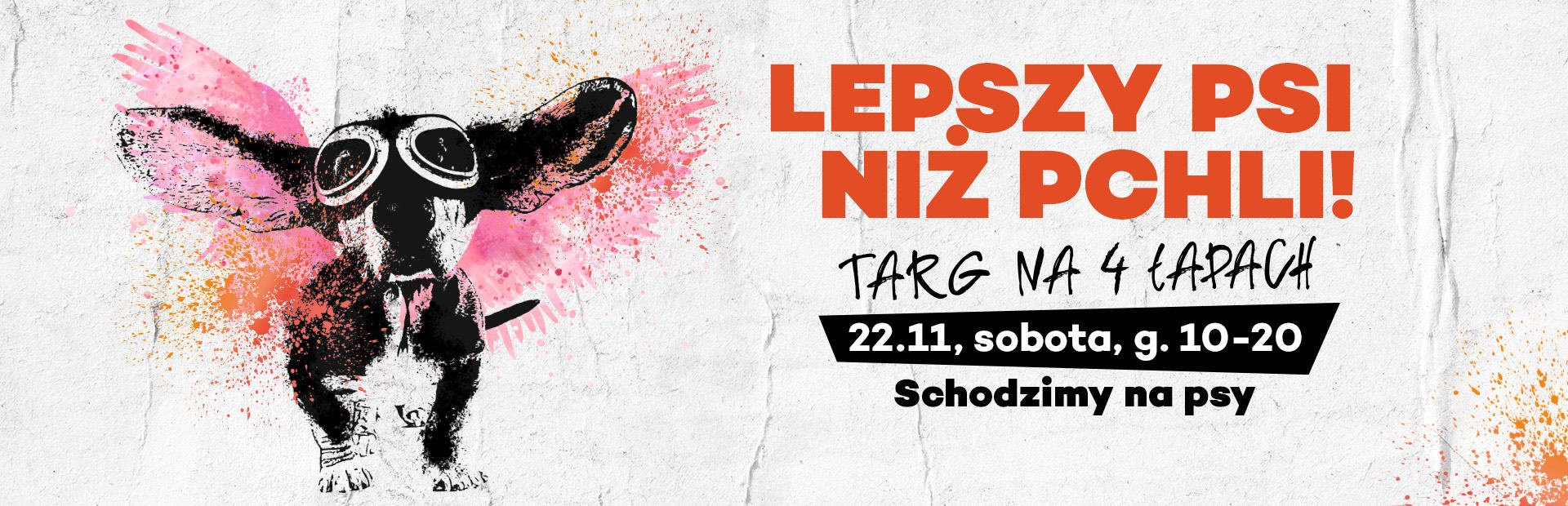 Psi Targ w Manufakturze