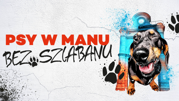 Psy mile widziane w Manufakturze