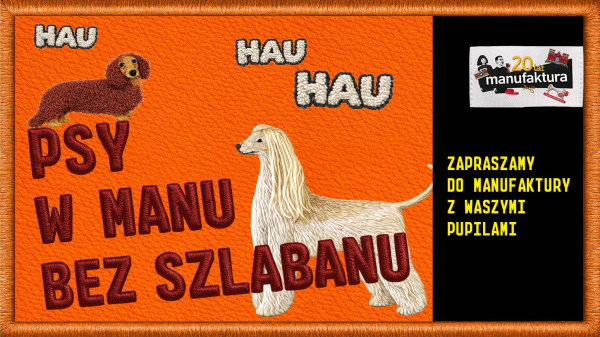 Psy mile widziane w Manufakturze