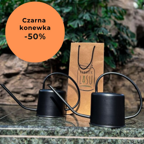  50 % zniżki na czarną metalową konewkę. Cena po zniżce 49,50 zł