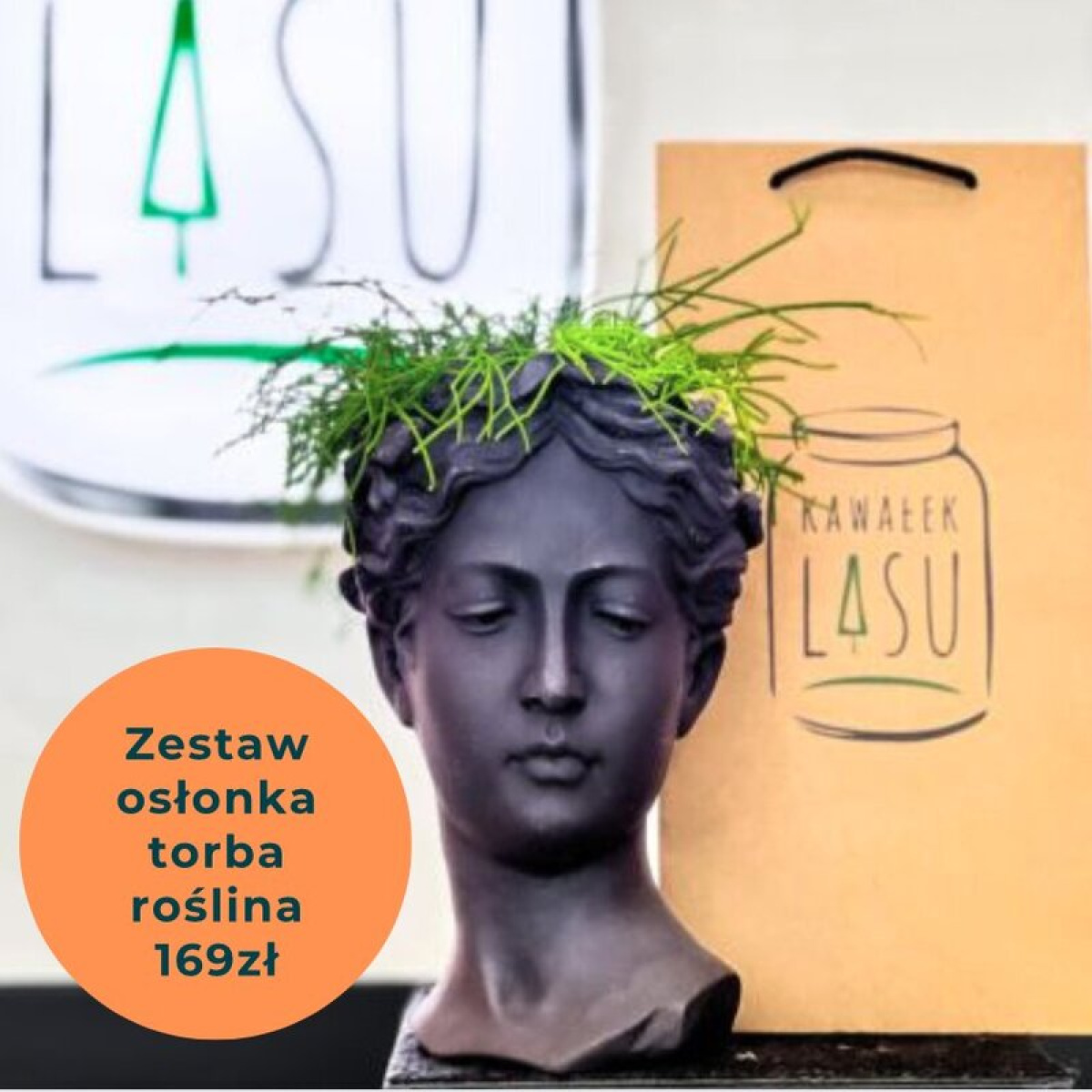 Zestaw osłonka głowa z dowolną rośliną i torbą w cenie 169 zł.