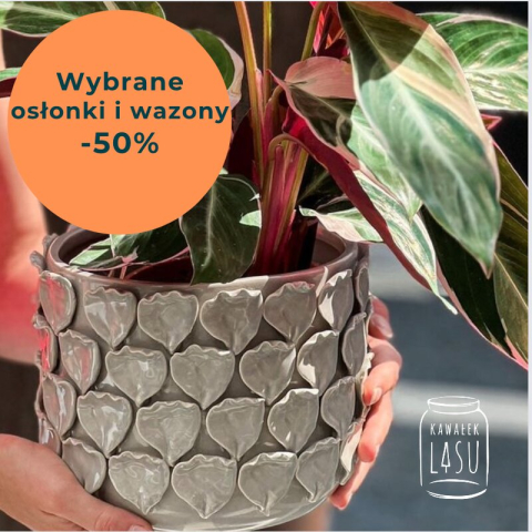  50 % rabat na wybrane osłonki i wazony 