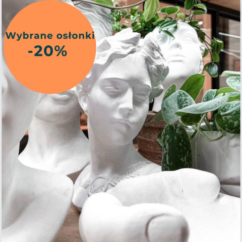 Wybrane osłonki głowy - rabat 20 %
