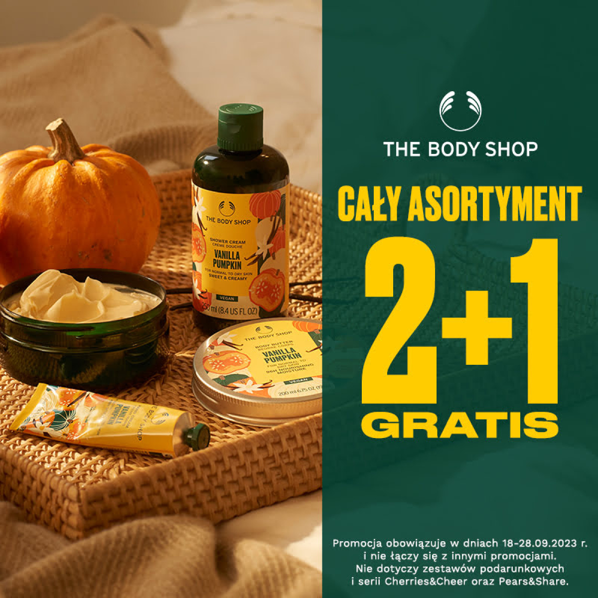 CAŁY ASORTYMENT 2+1 GRATIS!