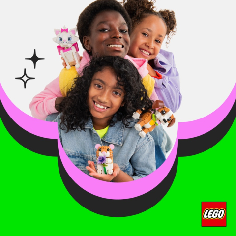 Odkryj program Ona to zbudowała w sklepie LEGO® Store!