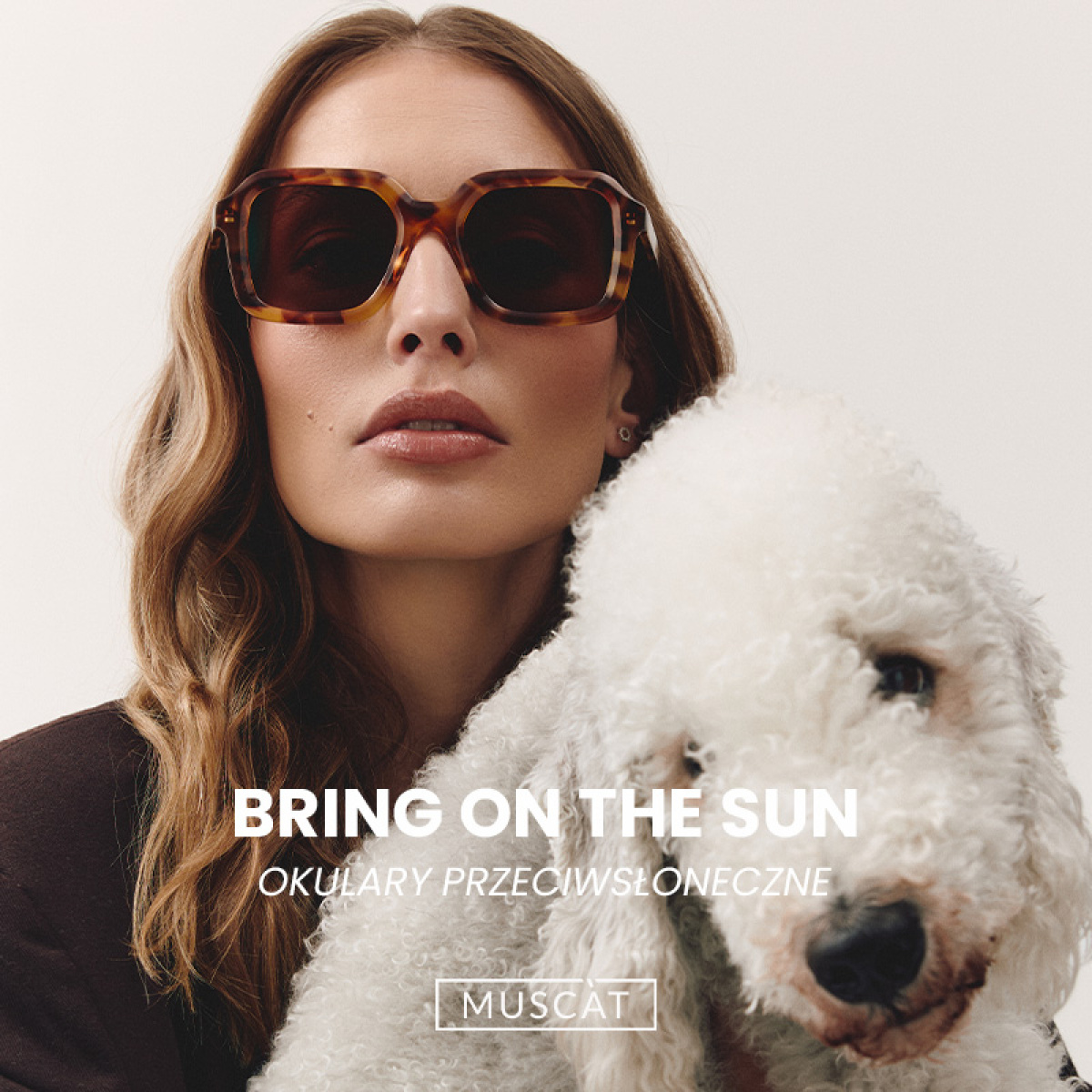 BRING ON THE SUN