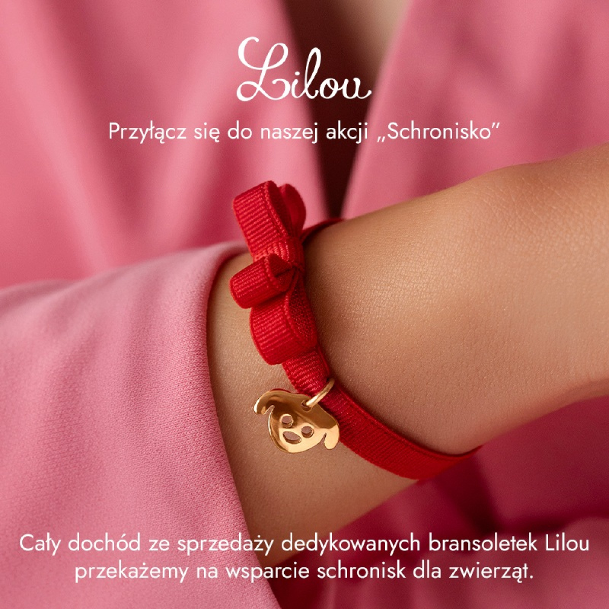 Akcja - wspieramy schroniska 