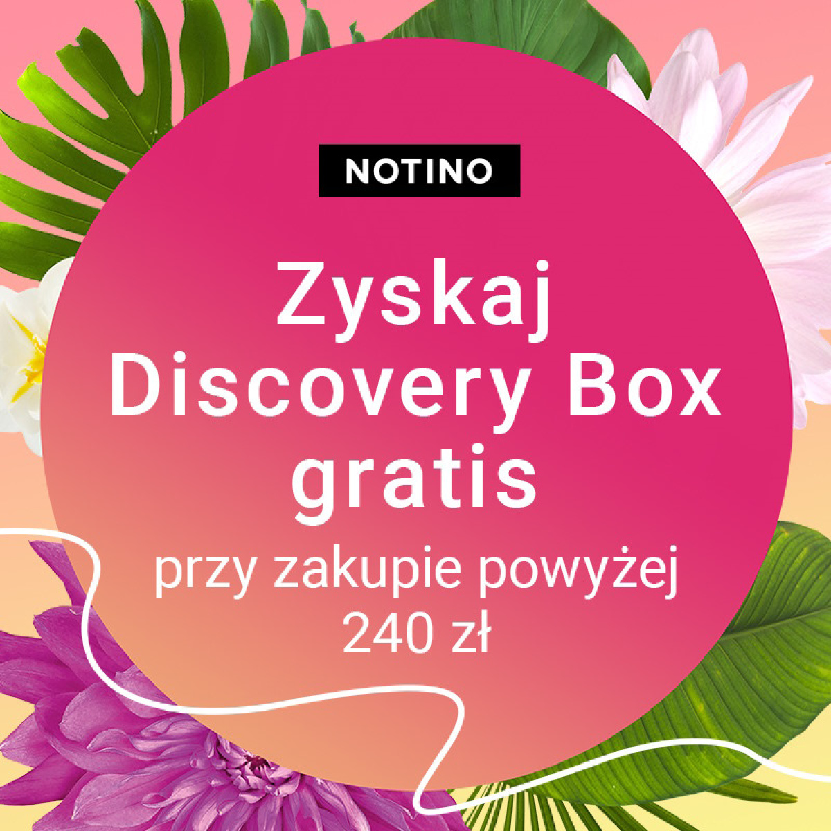 Zyskaj Discovery Box